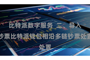 比特派数字服务 二、导入钞票比特派钱包相沿多链钞票处置