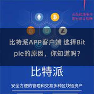 比特派APP客户端 选择Bitpie的原因，你知道吗？