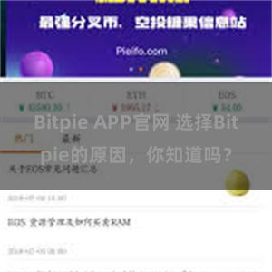 Bitpie APP官网 选择Bitpie的原因，你知道吗？