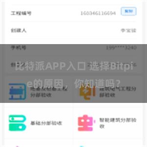 比特派APP入口 选择Bitpie的原因，你知道吗？