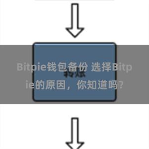 Bitpie钱包备份 选择Bitpie的原因，你知道吗？