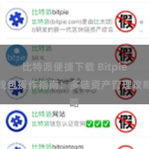 比特派便捷下载 Bitpie钱包操作指南：多链资产管理攻略