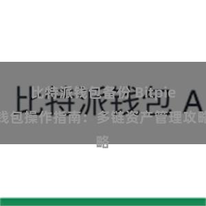 比特派钱包备份 Bitpie钱包操作指南：多链资产管理攻略