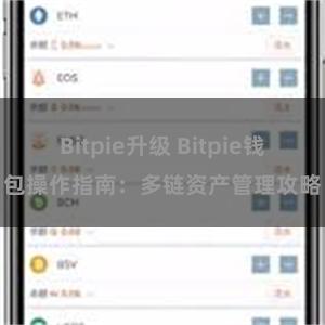 Bitpie升级 Bitpie钱包操作指南：多链资产管理攻略