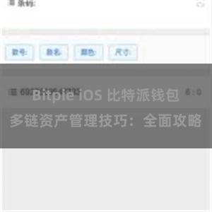 Bitpie iOS 比特派钱包多链资产管理技巧：全面攻略