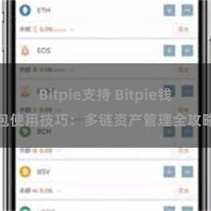 Bitpie支持 Bitpie钱包使用技巧：多链资产管理全攻略