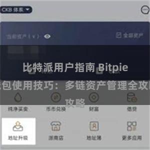 比特派用户指南 Bitpie钱包使用技巧：多链资产管理全攻略