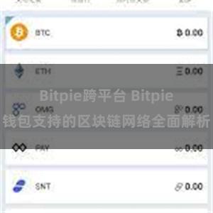 Bitpie跨平台 Bitpie钱包支持的区块链网络全面解析