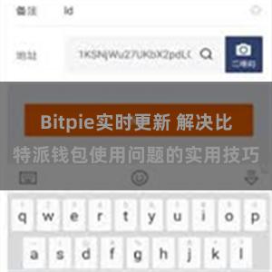 Bitpie实时更新 解决比特派钱包使用问题的实用技巧