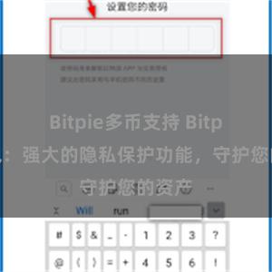 Bitpie多币支持 Bitpie钱包：强大的隐私保护功能，守护您的资产