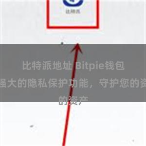 比特派地址 Bitpie钱包：强大的隐私保护功能，守护您的资产