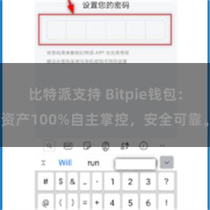 比特派支持 Bitpie钱包：资产100%自主掌控，安全可靠。