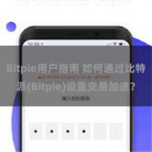 Bitpie用户指南 如何通过比特派(Bitpie)设置交易加速？