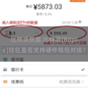 比特派恢复 比特派(Bitpie)钱包是否支持硬件钱包对接？