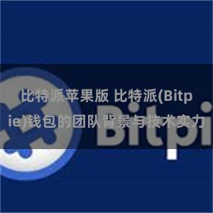 比特派苹果版 比特派(Bitpie)钱包的团队背景与技术实力