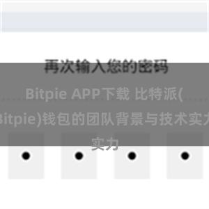 Bitpie APP下载 比特派(Bitpie)钱包的团队背景与技术实力