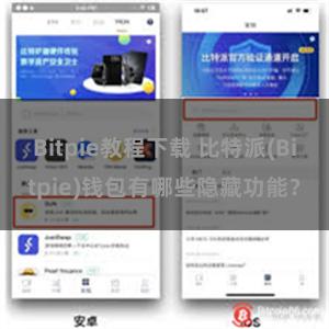 Bitpie教程下载 比特派(Bitpie)钱包有哪些隐藏功能？