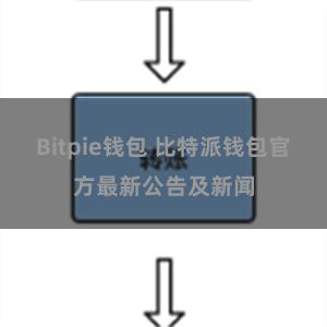 Bitpie钱包 比特派钱包官方最新公告及新闻