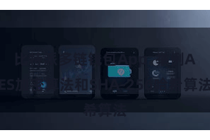 比特派多链钱包App 举例AES加密算法和SHA-256哈希算法