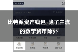 比特派资产钱包  除了主流的数字货币除外